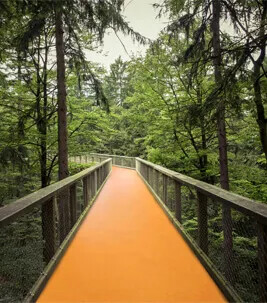 Marmoleum CO₂ Neutral